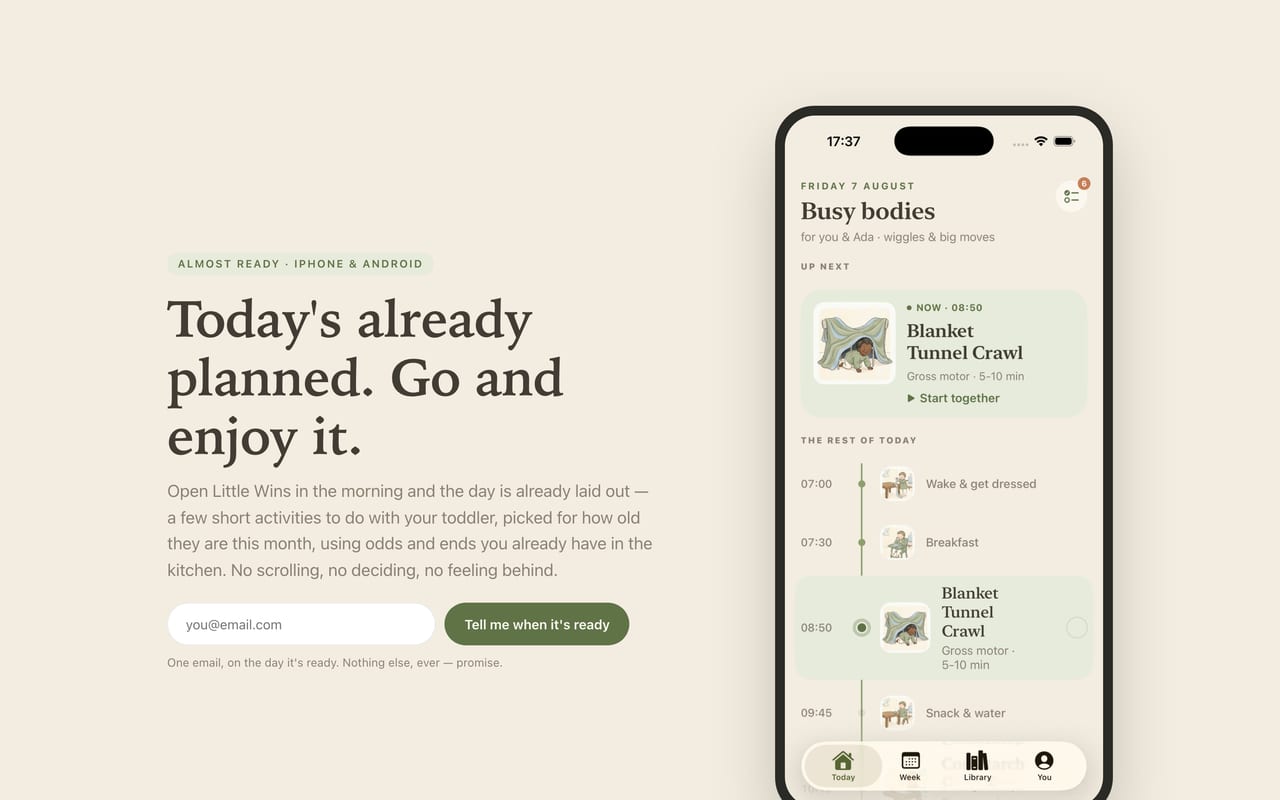 The Little Wins website